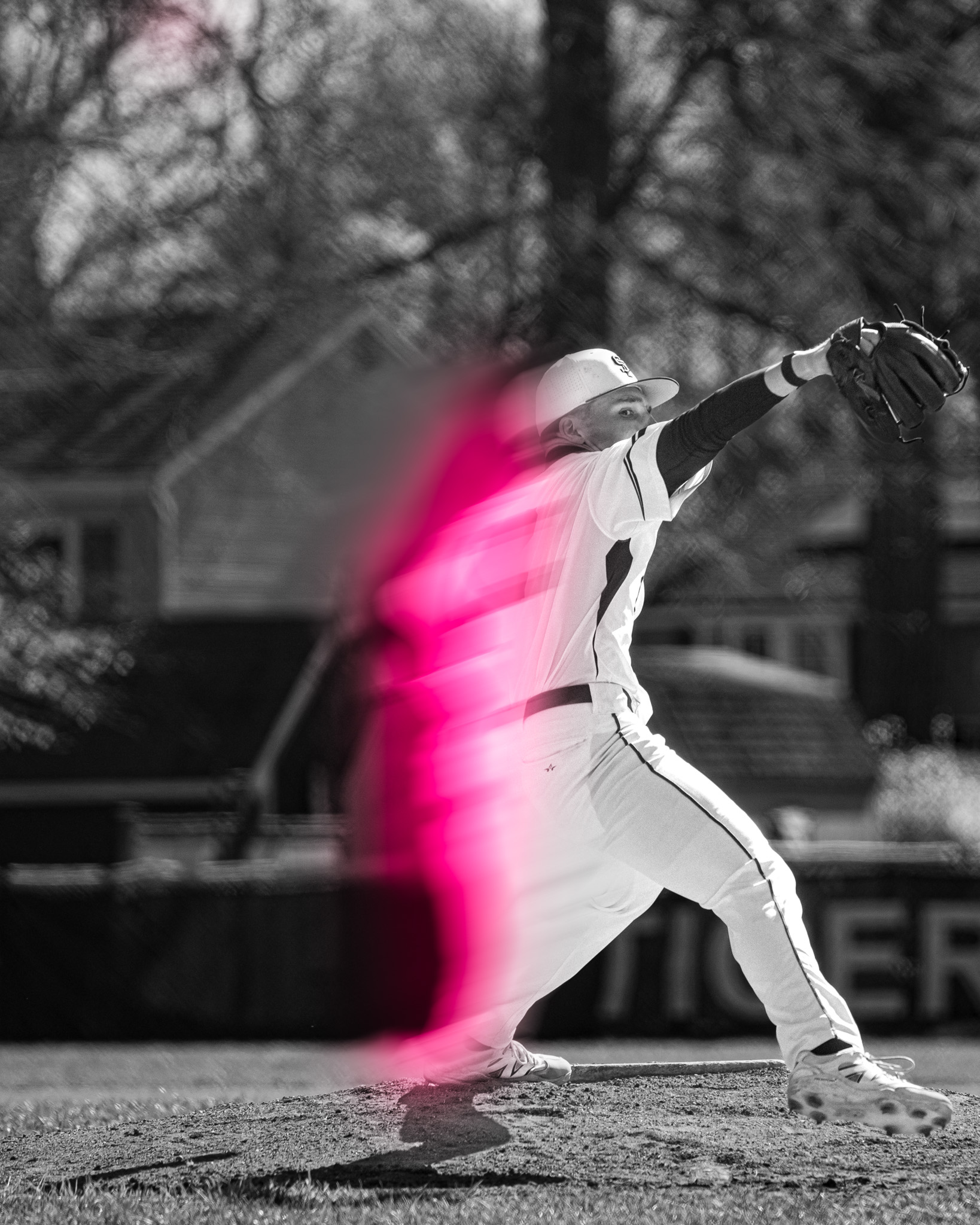 Baseball & Softball by Jaiden Johnson Molina