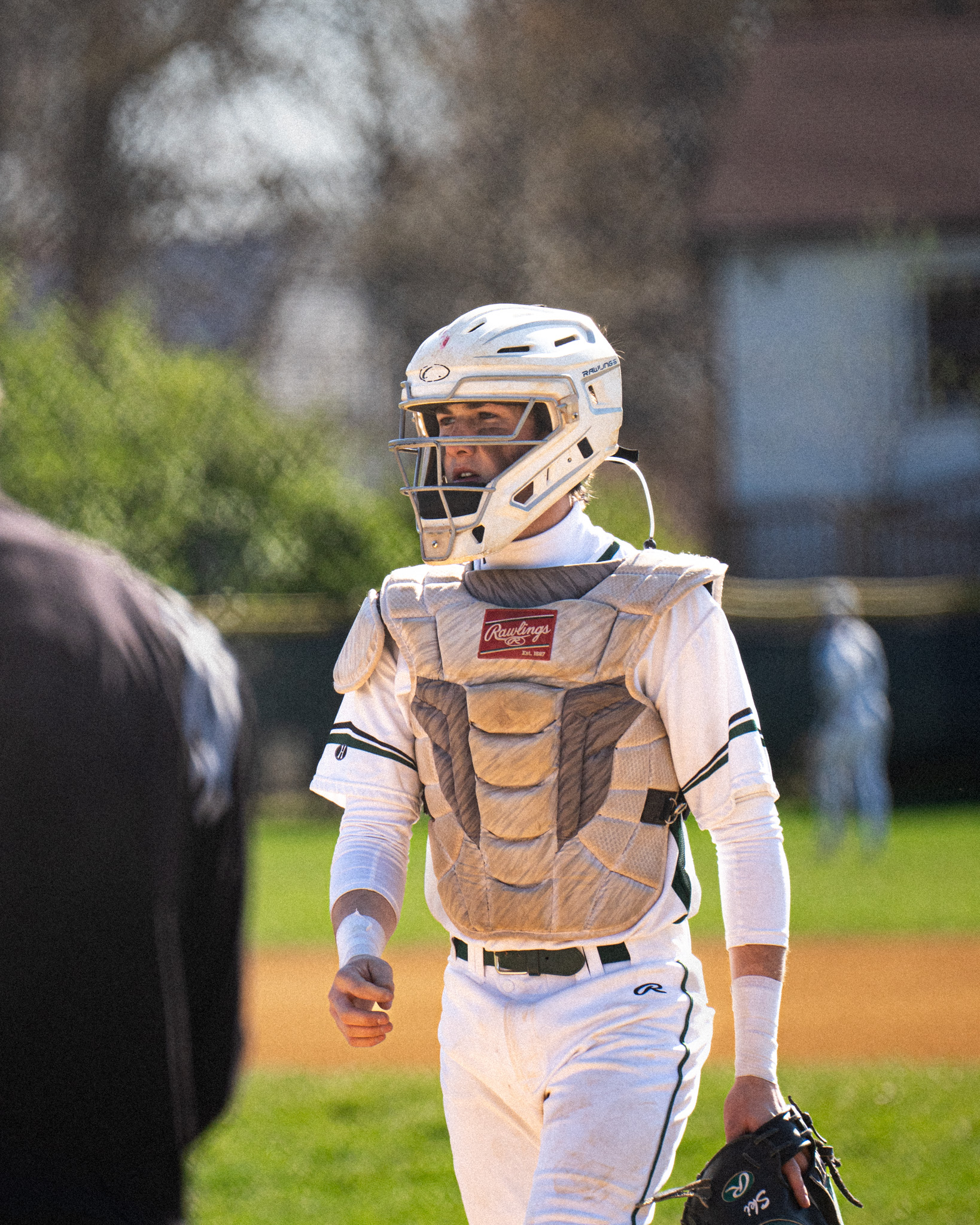 Baseball & Softball by Jaiden Johnson Molina