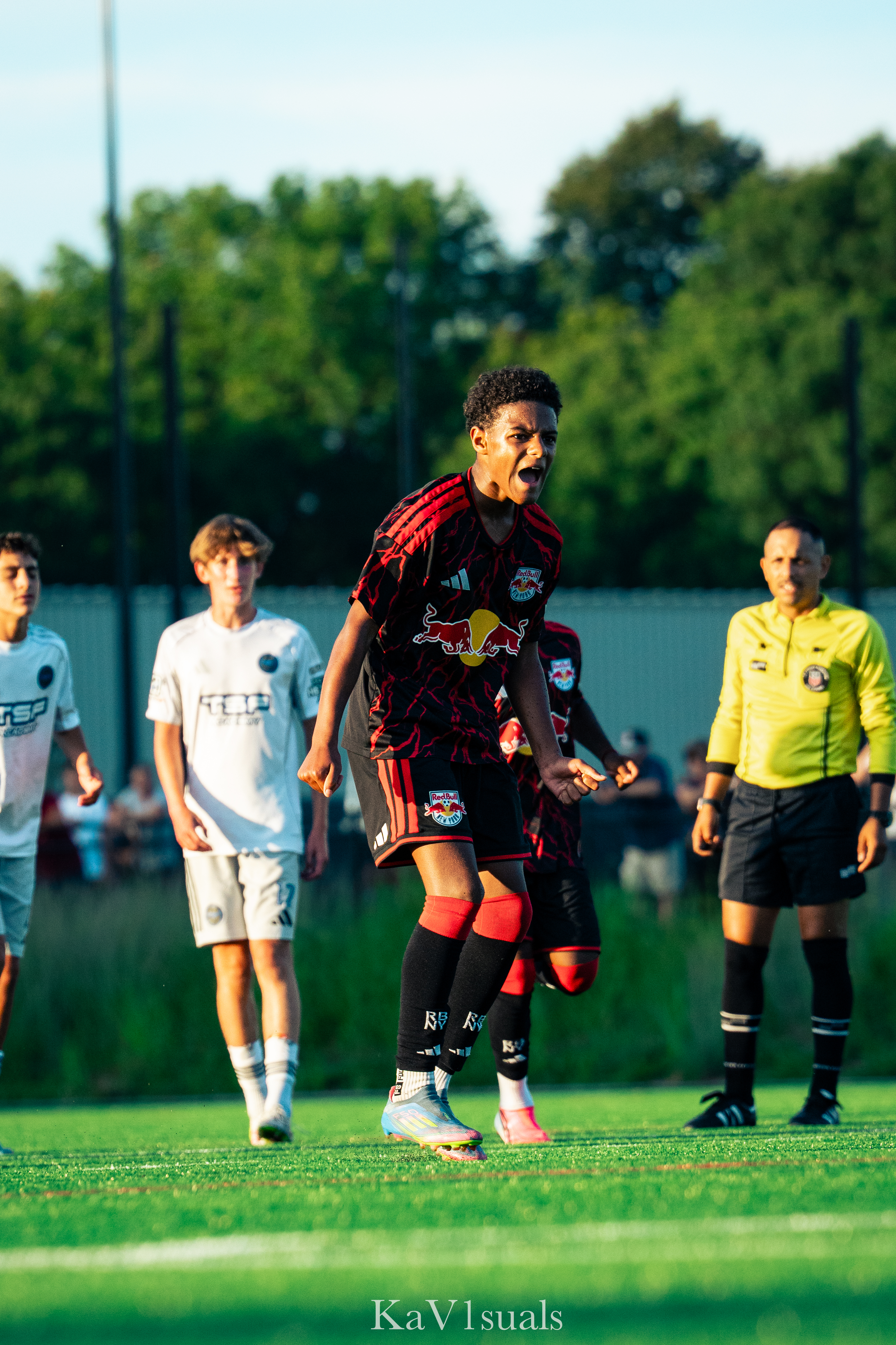 Ny Redbulls by Kaywin Abreu